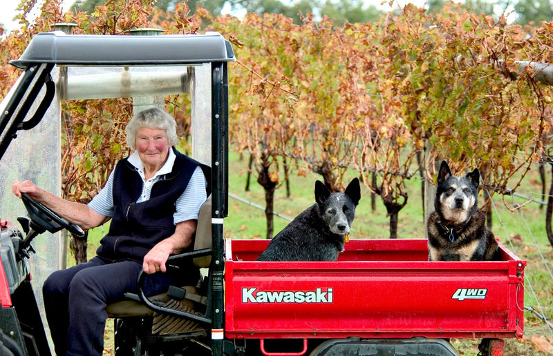 Glenmore Wines - Learn about our rich pastoral  and winemaking history